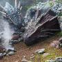 Caerphilly Dragons