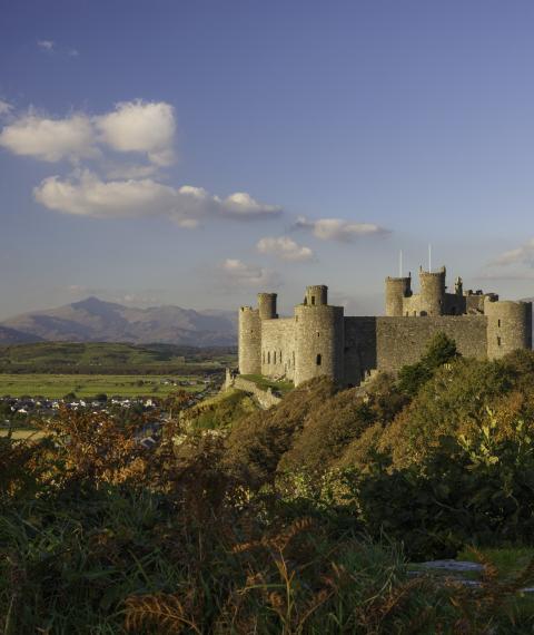 Castell Harlech 