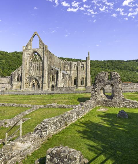 Abaty Tyndyrn/Tintern Abbey