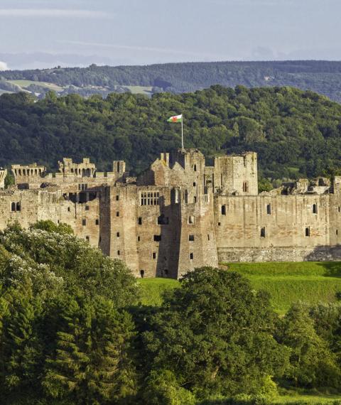 Castell Rhaglan/Raglan Castle