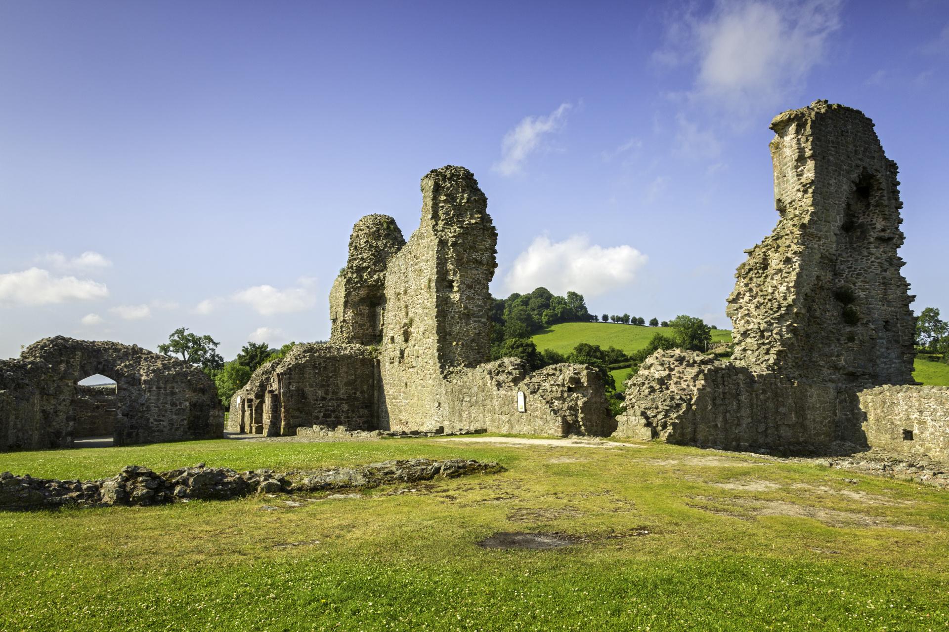 Castell Trefaldwyn/Montgomery Castle