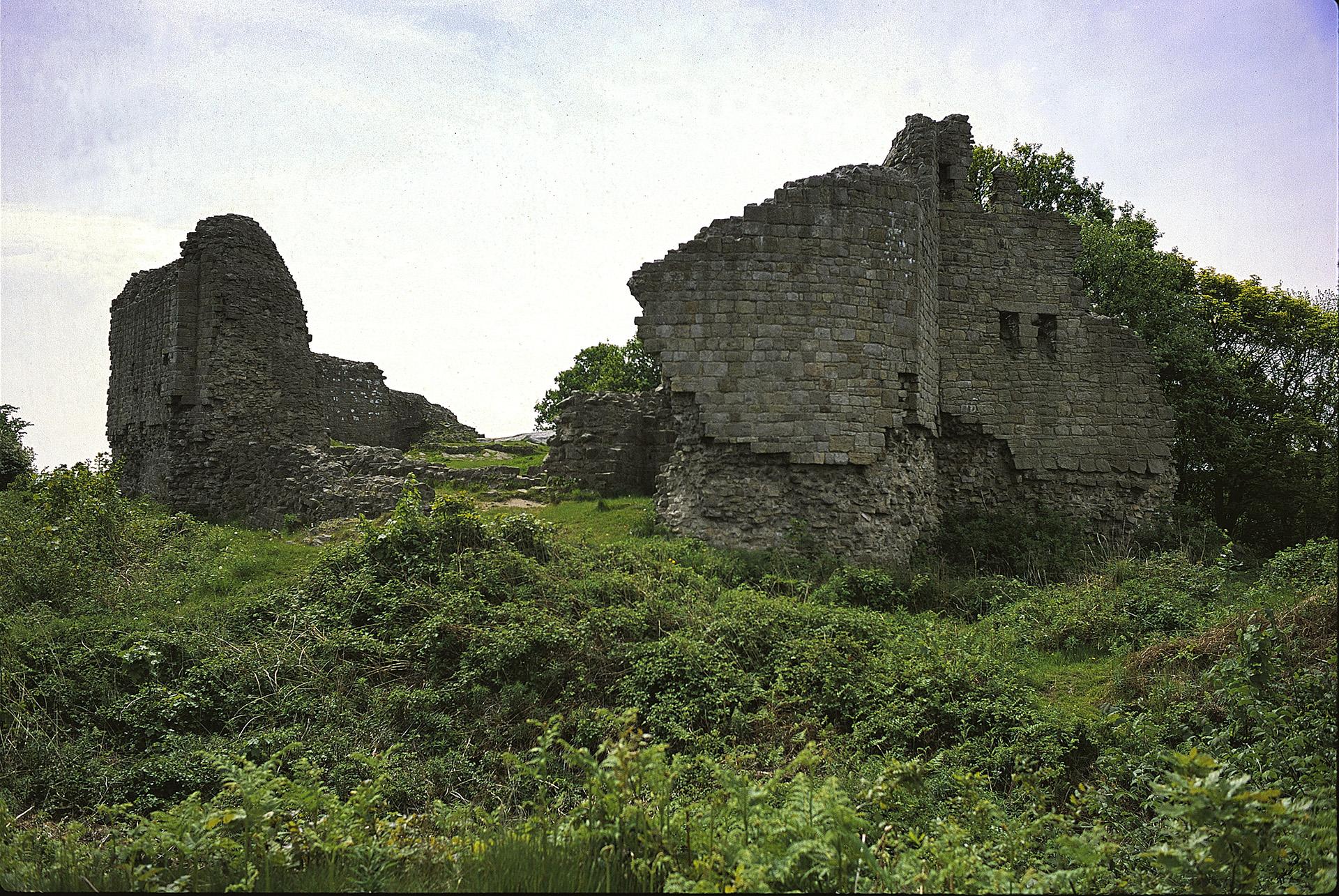 Castell Caergwrle