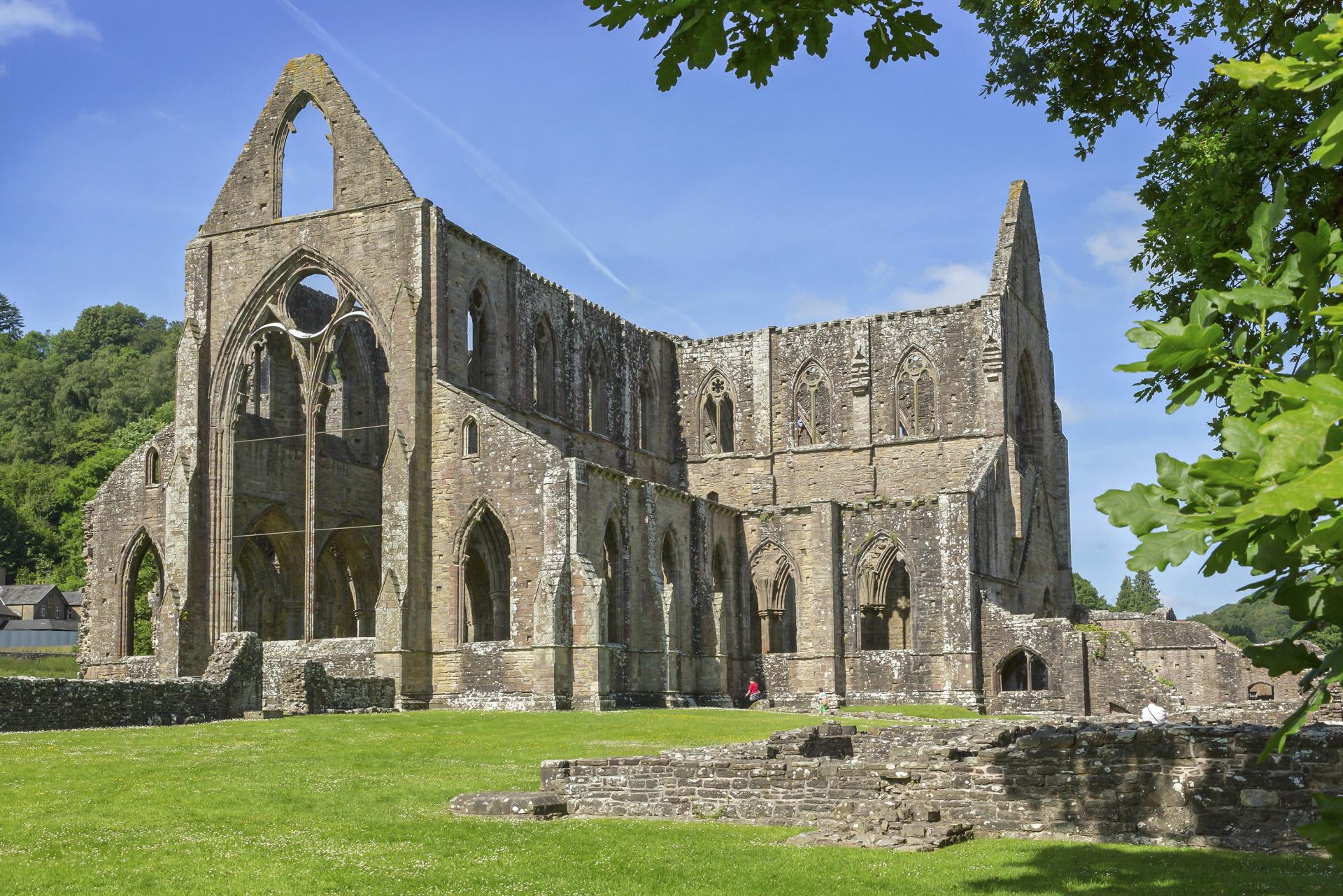 Abaty Tyndyrn/Tintern Abbey